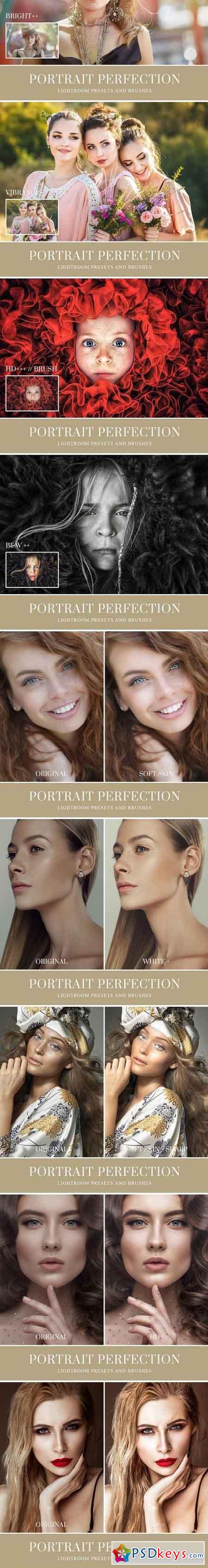 Portrait Lightroom Presets and Brush 493328