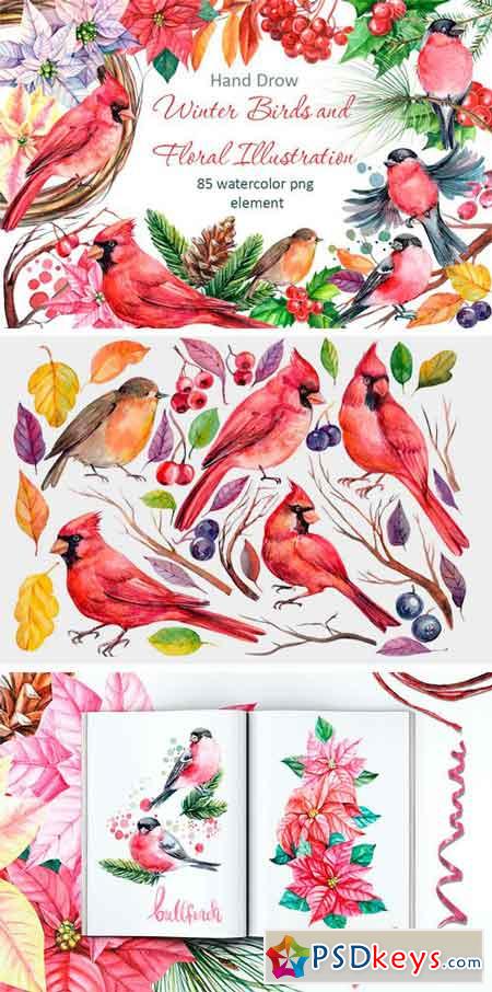 Winter Birds and Floral Illustration 2010561