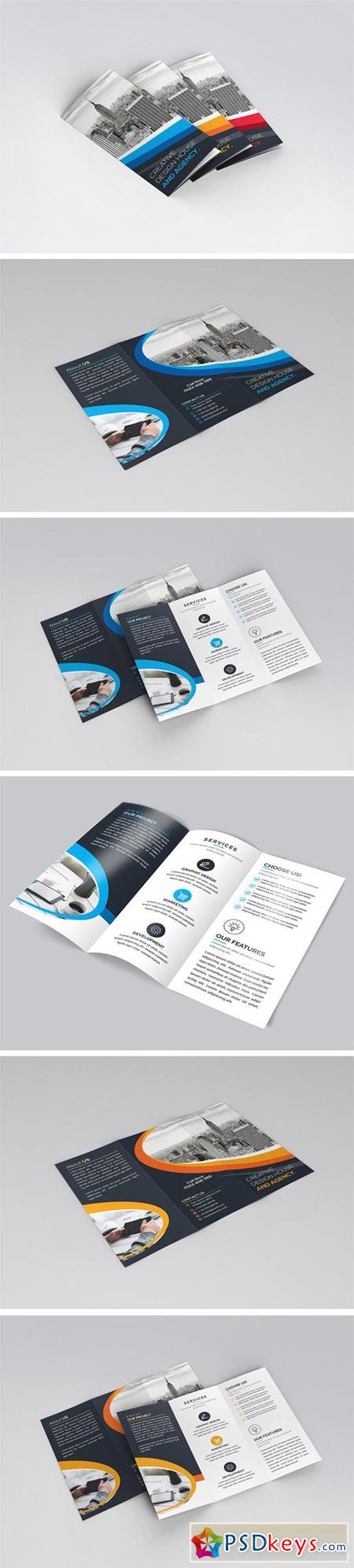 Tri-Fold Brochure Design 2037896