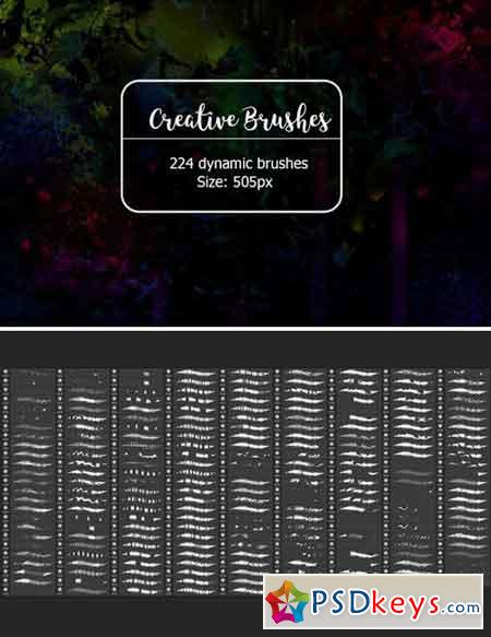 224 Dynamic Creative Brushes 1908233