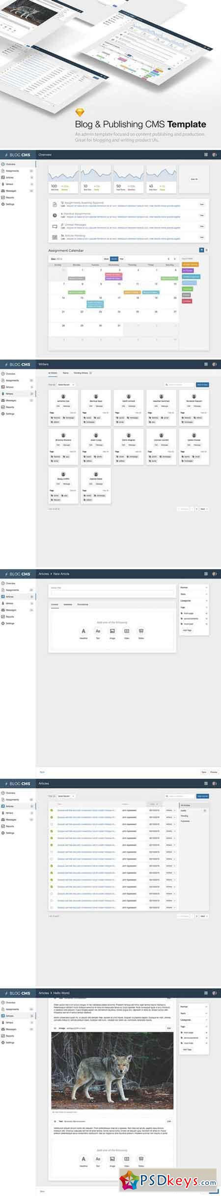 Sketch CMS Admin Template 2040496