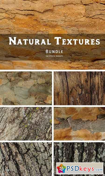 Natural Textures of Wood & Bark 2037514