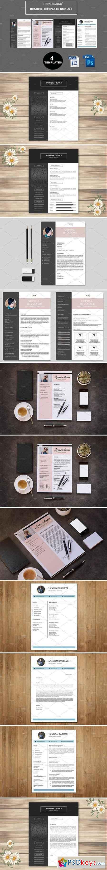 Professional Resume Bundle V44 2022900