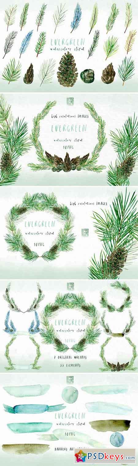 Pine Watercolor clipart 2043122