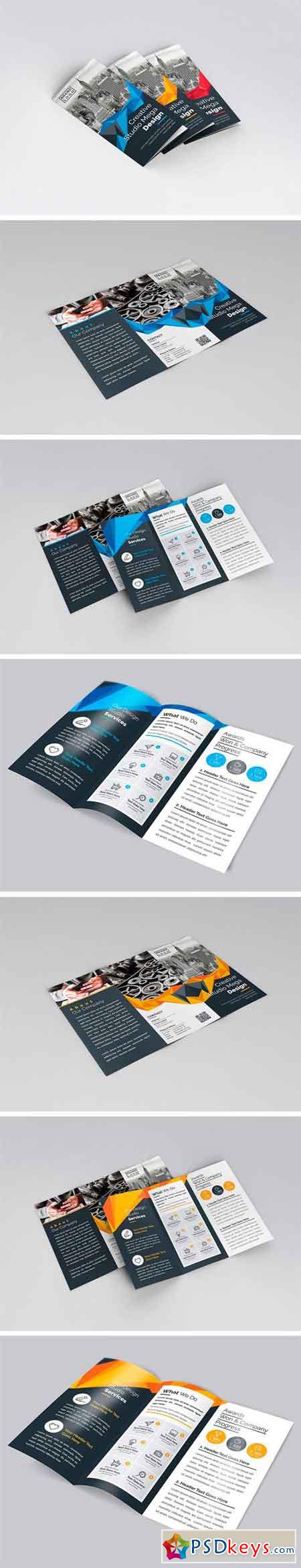 Tri-Fold Brochure Design 2037939