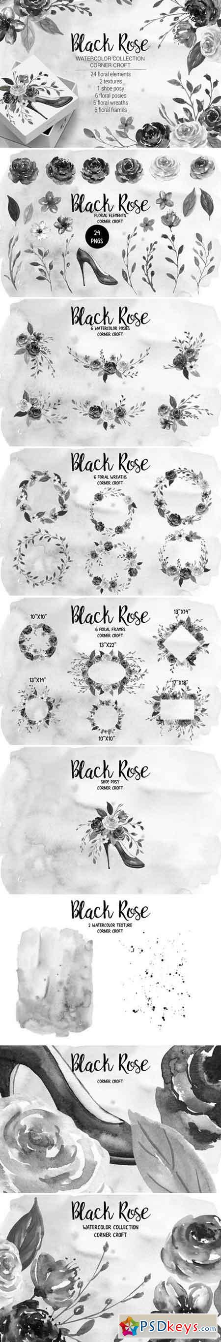 Watercolor Black Rose Collection 2043233
