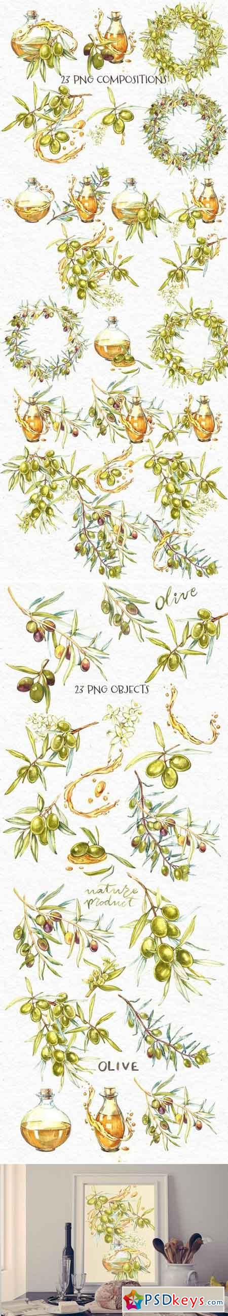 Olive Watercolor clipart 2041861