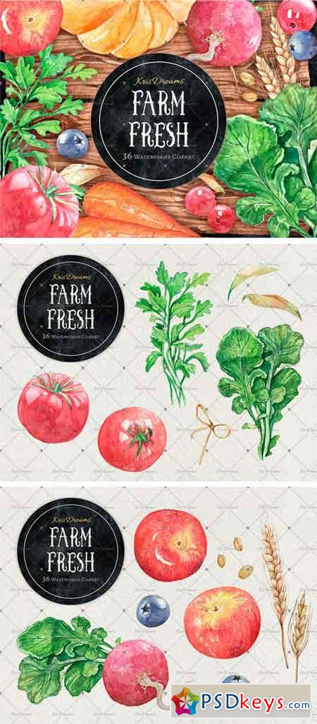 Farm Fresh Watercolor Clipart 2038066