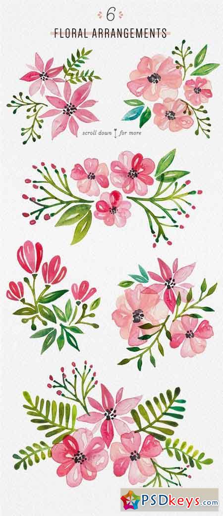 Fresh Floral Watercolor Arrangements 1895046