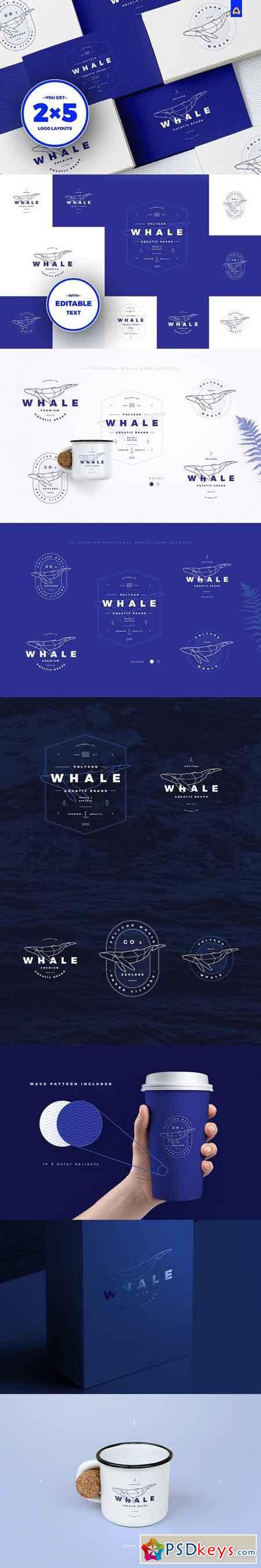 Polygonal Whale Logo Set 1925956
