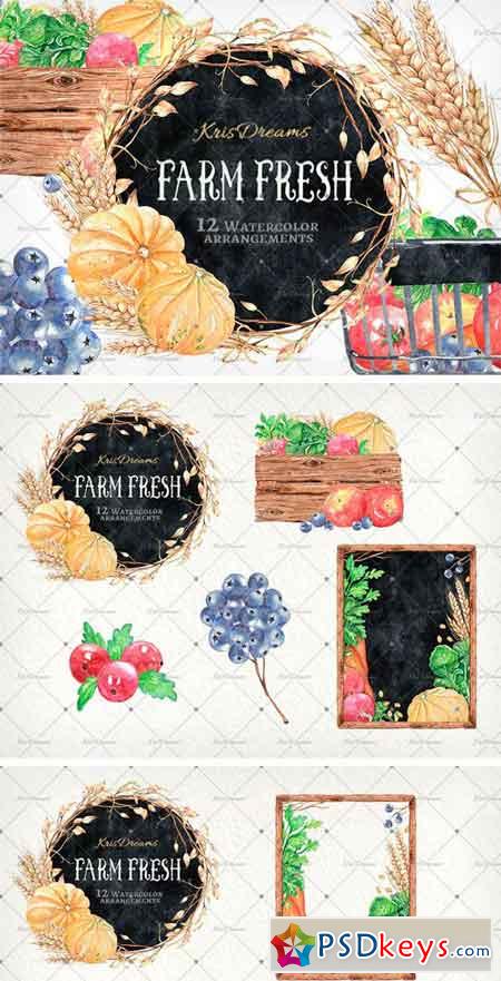 Farm Fresh Watercolor Arrangements 2038758