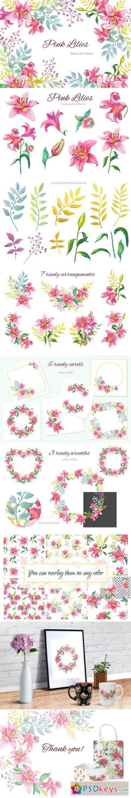 Pink Lilies Watercolor clipart 2071639
