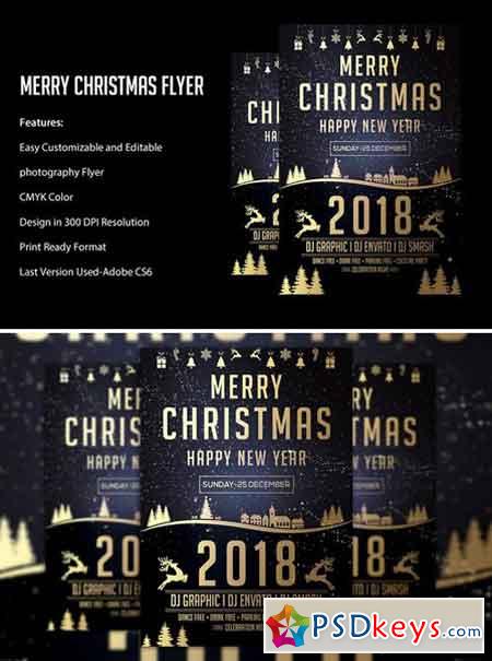 Christmas Party Flyer 2088185