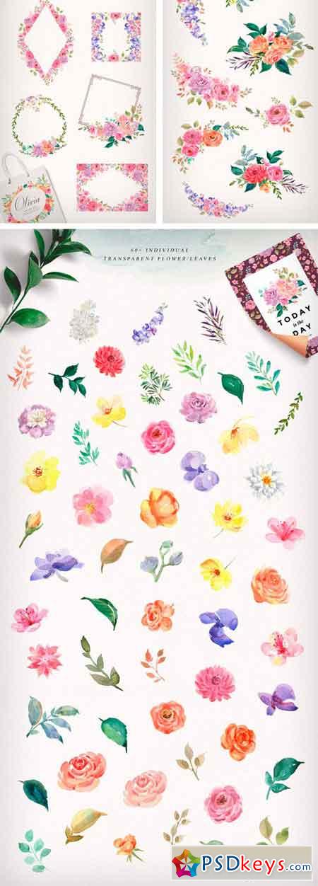 Watercolor Flowers - Olivia 2066548