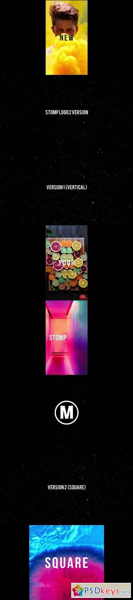Dynamic Stomp Logo 56875 - After Effects Projects