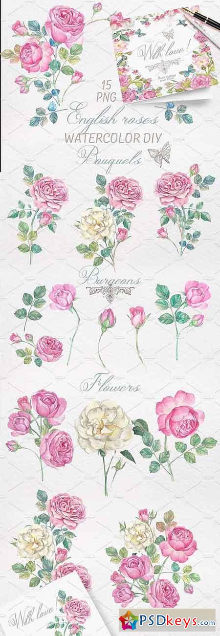 Hand drawn watercolor english roses 332037