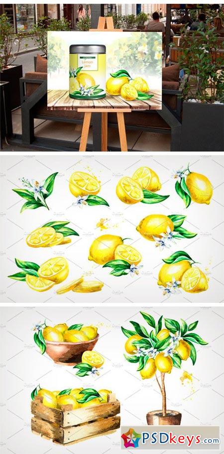 Fresh Lemon Watercolor Collection 2182396