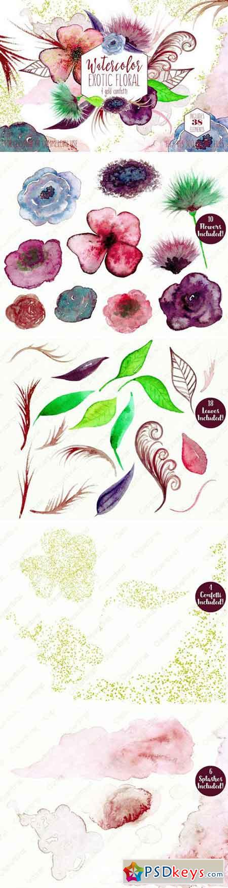 Exotic Watercolor Floral Graphics 2167383