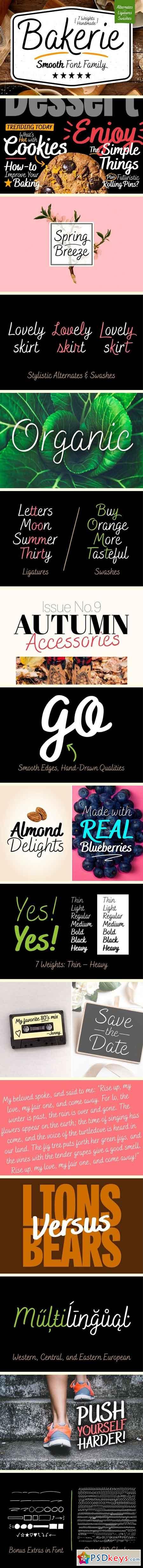 Bakerie Smooth Font Family 1915810