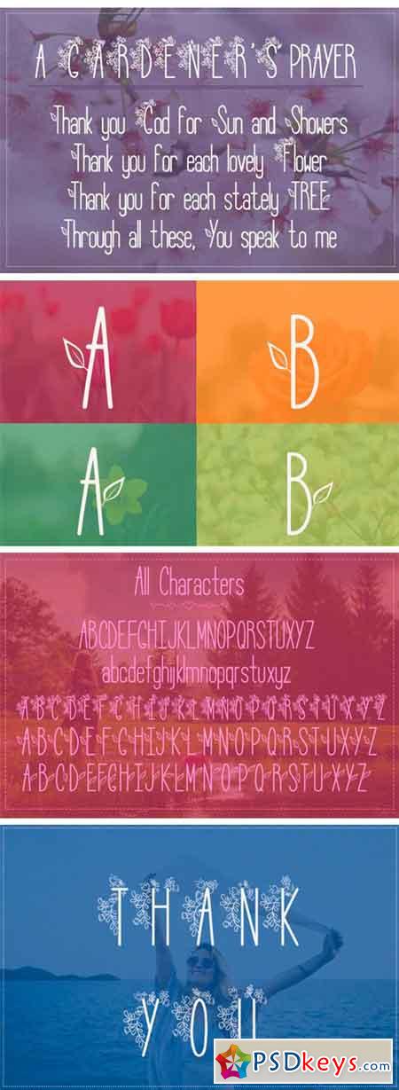 Lily Bloom Flowery Font with 4 Styles 65403
