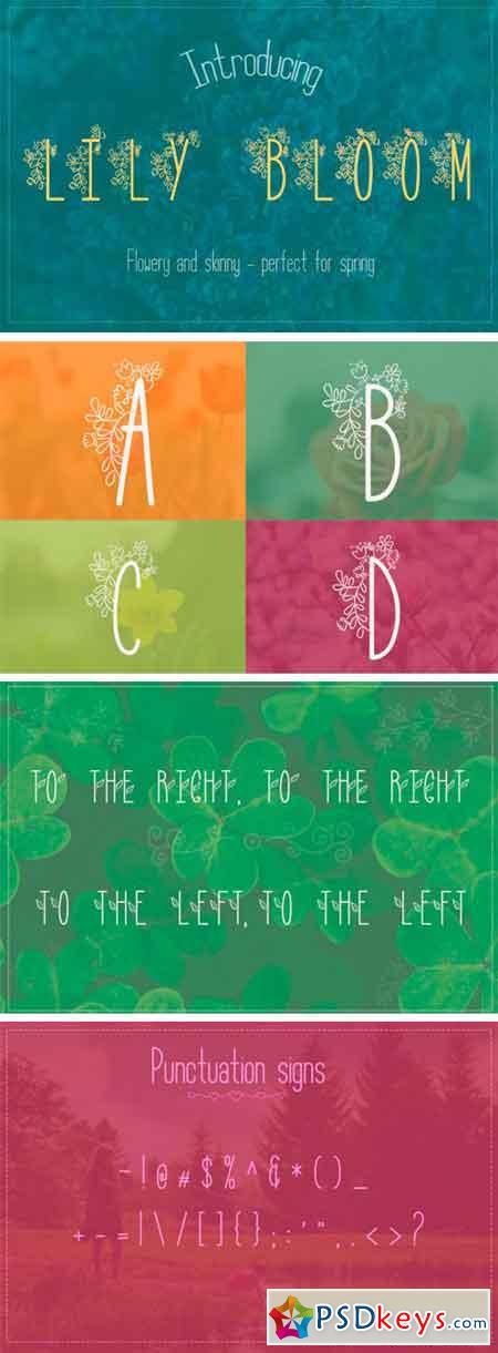 Lily Bloom Flowery Font with 4 Styles 65403