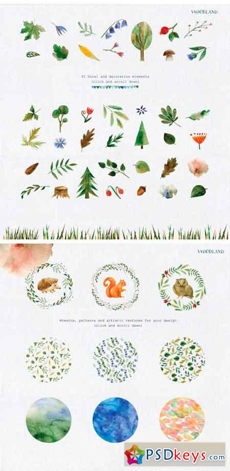 Set of Watercolor Illustrations 2221822