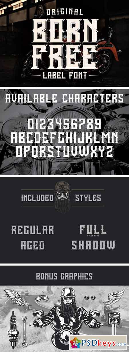 Born Free Typeface + Bonus 2200296