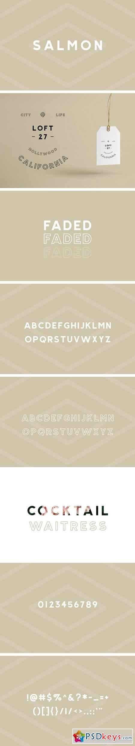 Salmon - Modern Sans Serif 1962373