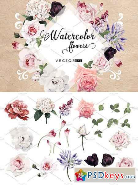 Flowers set 2018 2185401