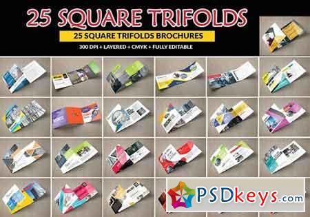 25 Square Trifold Brochure Bundle 1041500