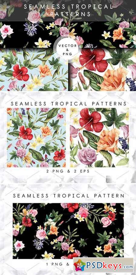 Tropical patterns (VECTOR) 2230268 » Free Download Photoshop Vector ...