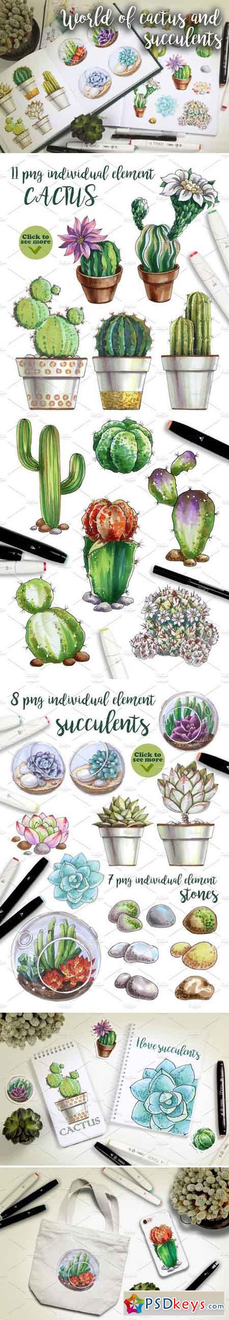World of cactus and succulents 2231329