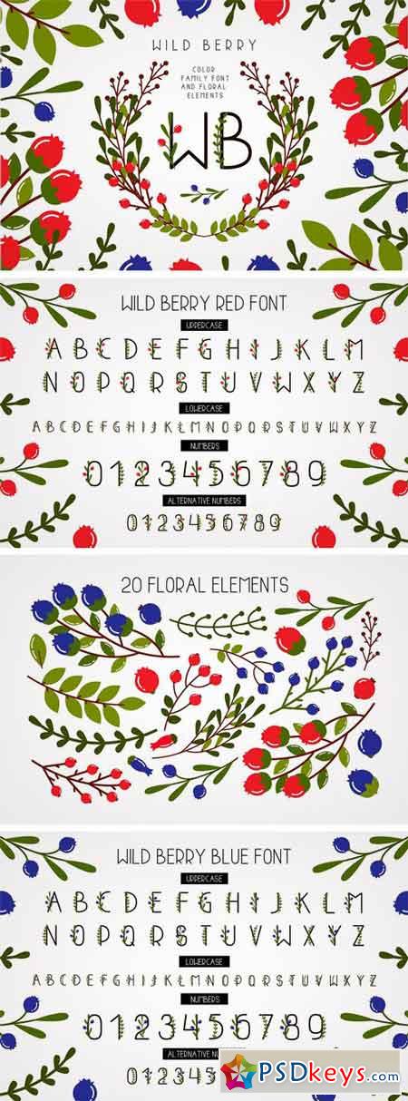 Wild Berry - Color Family Font 2272444