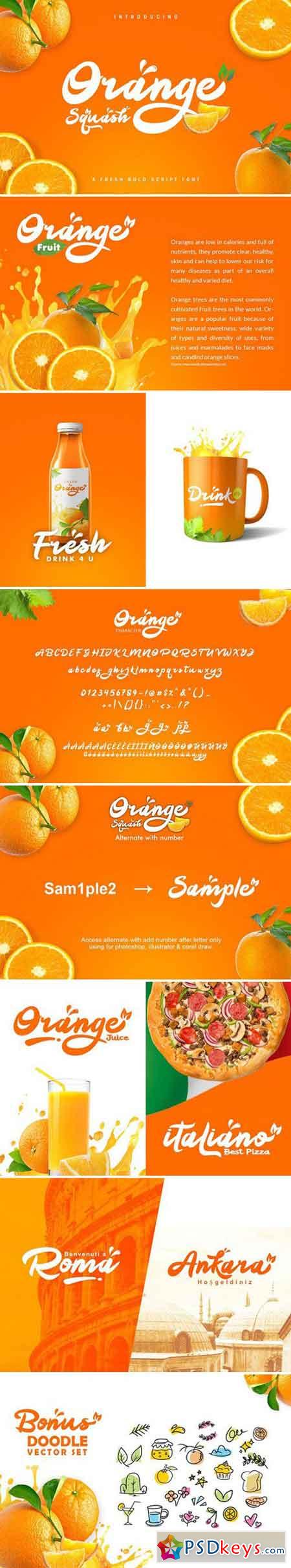 Orange Squash Script 2236284