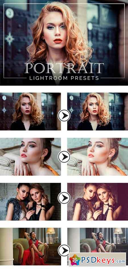 Portrait Lightroom Presets 2316177