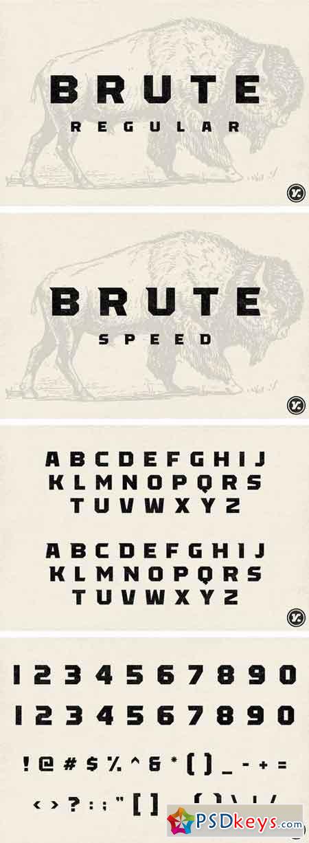 Brute 2032365