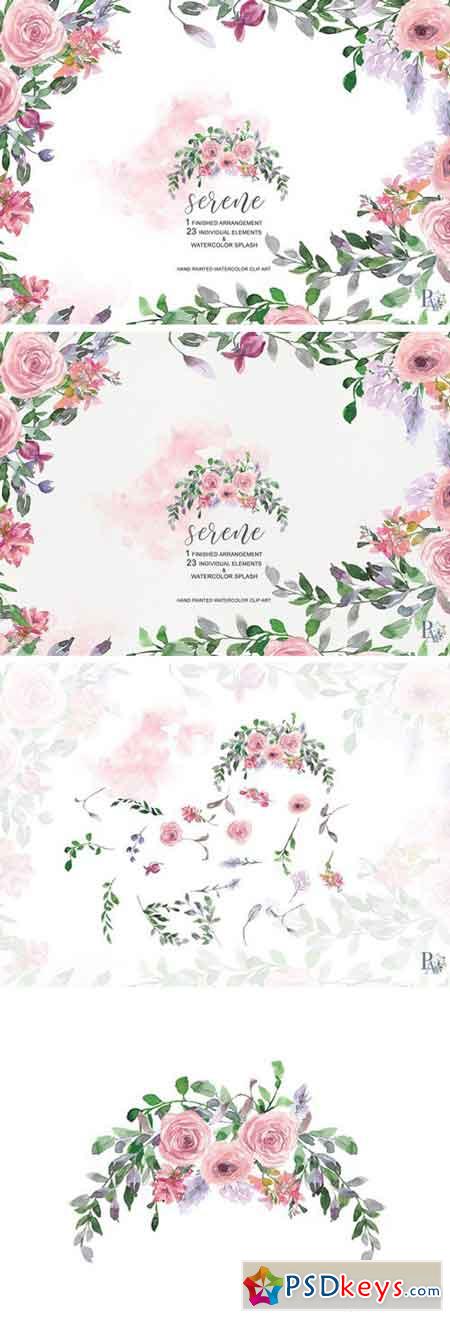 Watercolor Blush Rose Set 2301334