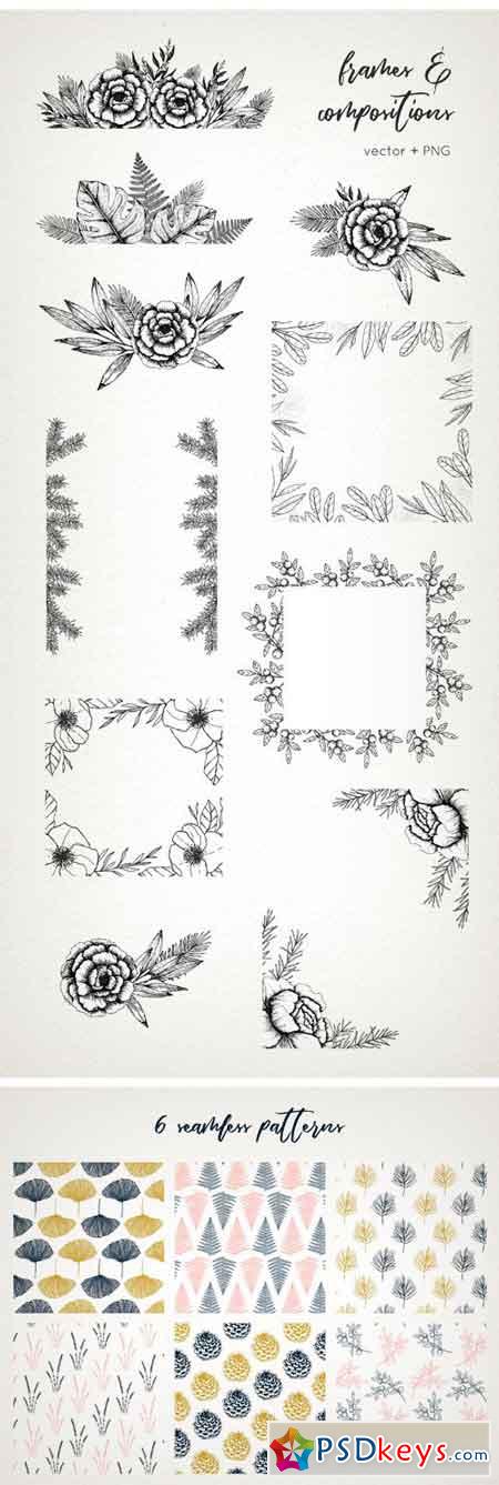 Botanical Illustrations Pack 2295310