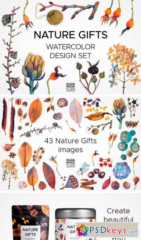 Nature Gifts Design Set 2314116