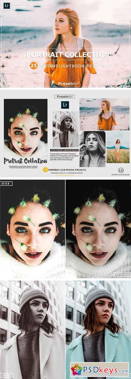 25 Pro Portrait Lightroom Presets 2294726