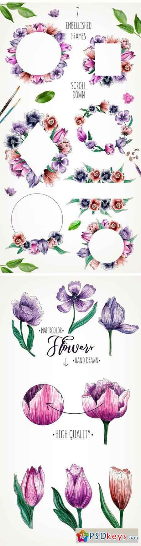 Hand Drawn Watercolor Flowers + BONUS! 2259650