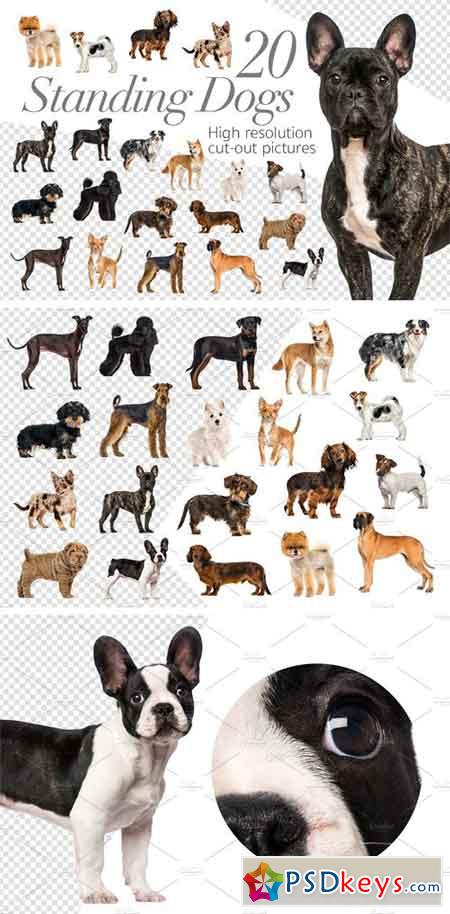 20 Standing Dogs - Cut-out Pictures 2261997