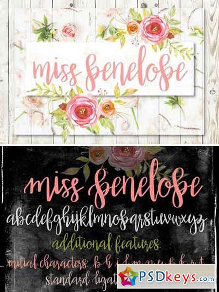Miss Penelope Script Font 1628804