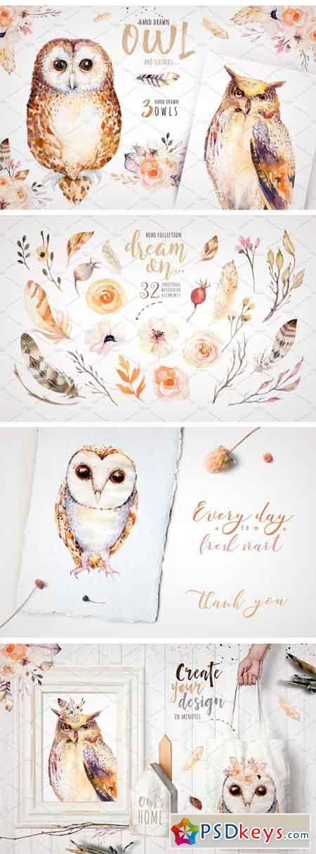 Watercolor Cute Owls II 2294671