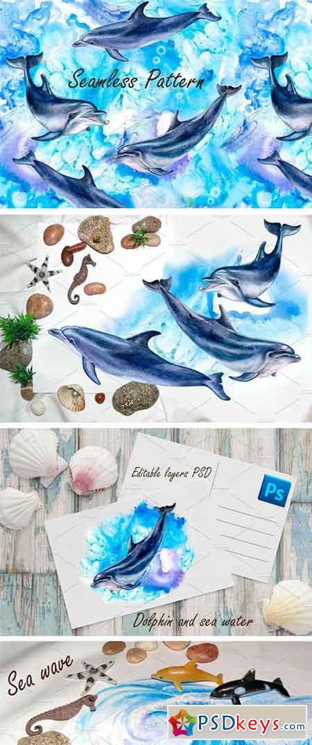 Watercolor Dolphins 2316252