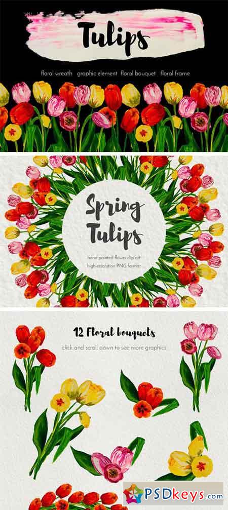 Spring Tulips 2295309