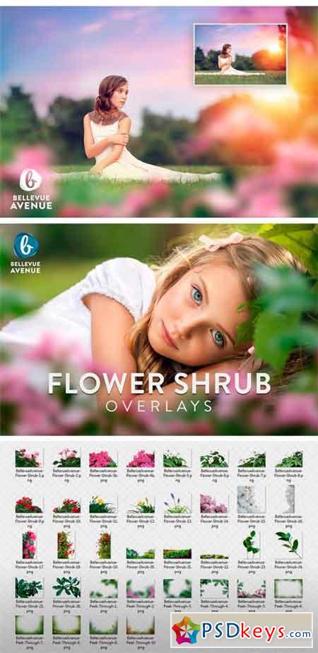 Flower Shrub Overlays (Real) 2295809