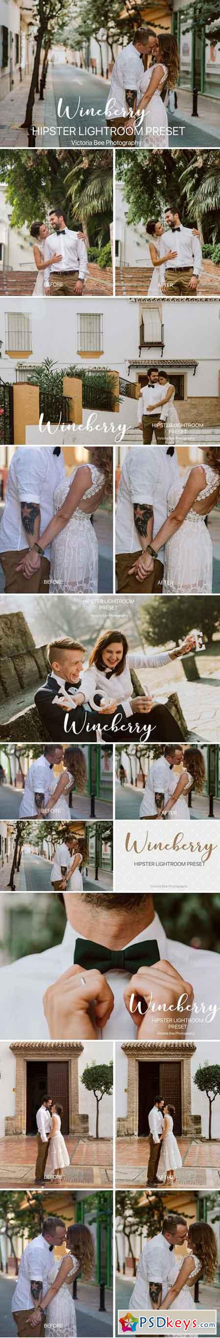 WINEBERRY Hipster Lightroom Preset 2340407