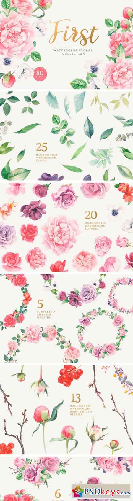 First Watercolor Floral Collection 2295312