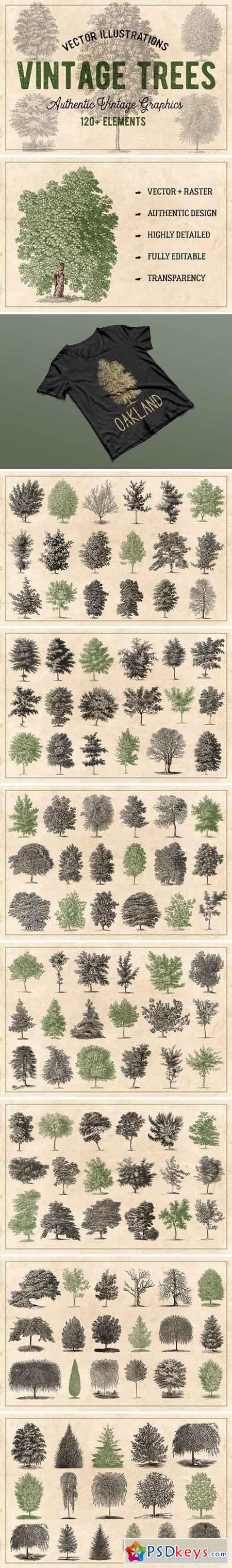 122 Vintage Trees (Vector) 1790224